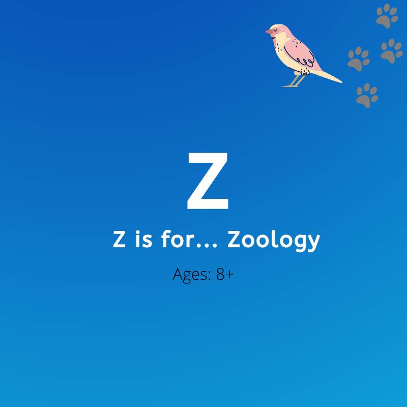 Z is for zoology
